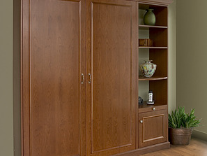Murphy Bed Closed